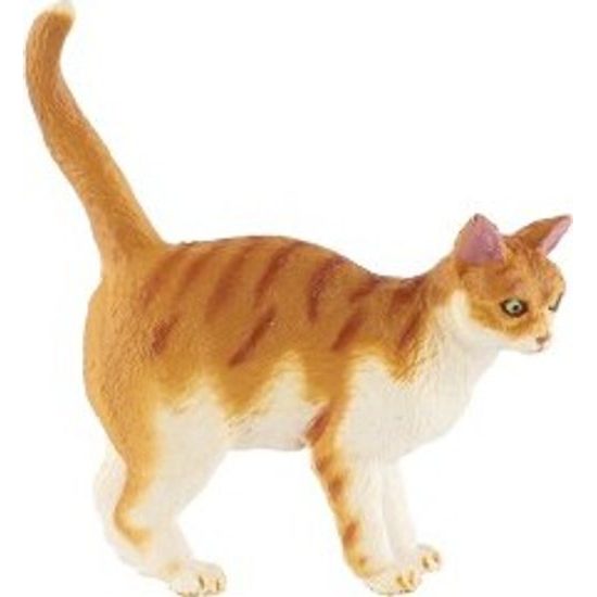 Kočka domácí zooted