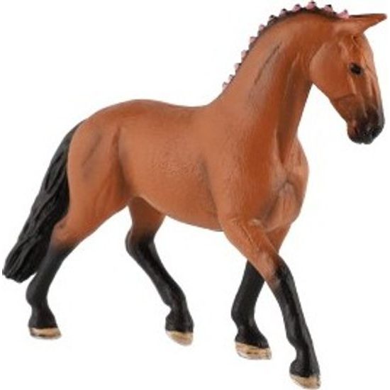 Kůň domácí hnědák zooted