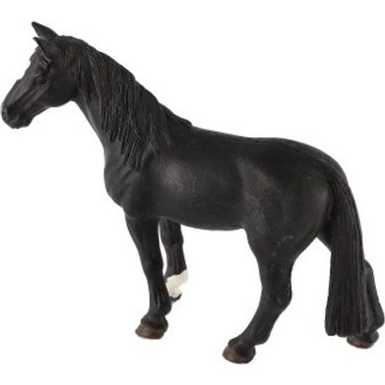 Kůň domácí vraník zooted