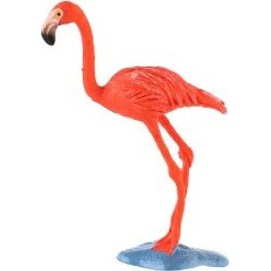 Plameňák karibský zooted