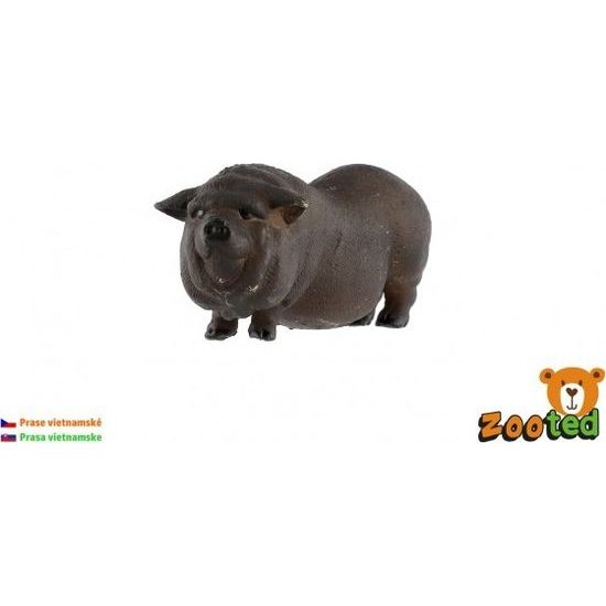 Prase vietnamské zooted