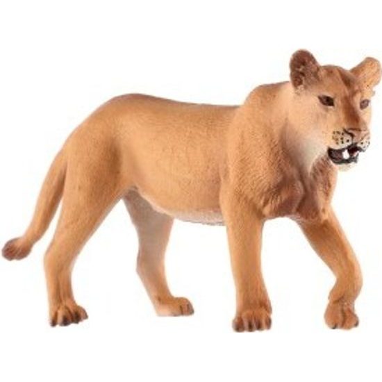 Lev berberský lvice zooted