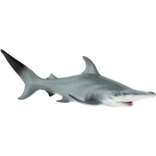 Žralok kladivoun velký zooted