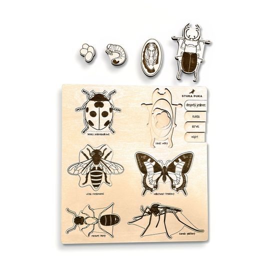 Hmyz - životní cyklus - set 6 - SLOVENSKÁ VERZE