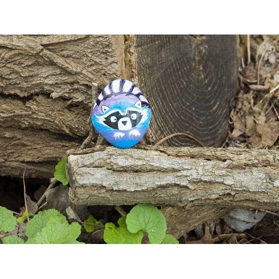 Malování a zdobení kamenů pro děti Rock Painting