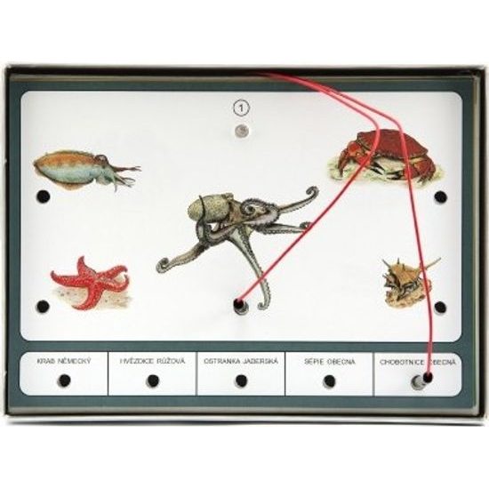 Zvířata světa společenská hra na baterie