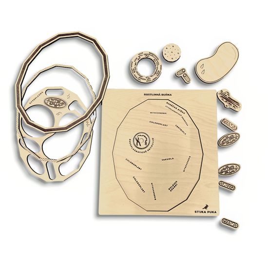 Rastlinná bunka - edukatívne puzzle - ČESKÁ VERZIA