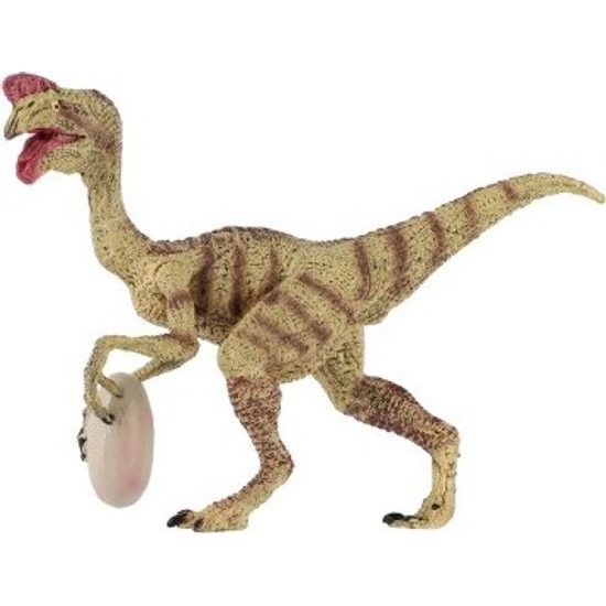 Oviraptor s vejcem zooted