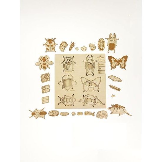 Hmyz - životní cyklus - set 6 - SLOVENSKÁ VERZE