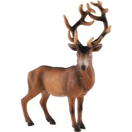 Jelen evropský zooted