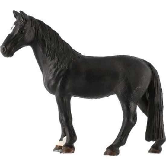 Kůň domácí vraník zooted