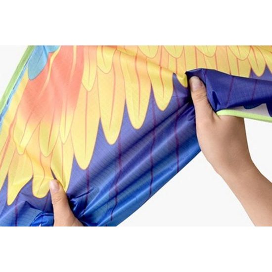 Mega velký drak - barevný pták s dlouhým ocasem