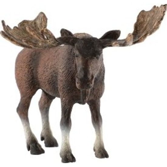 Los evropský zooted