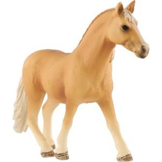 Kůň domácí palomino zooted