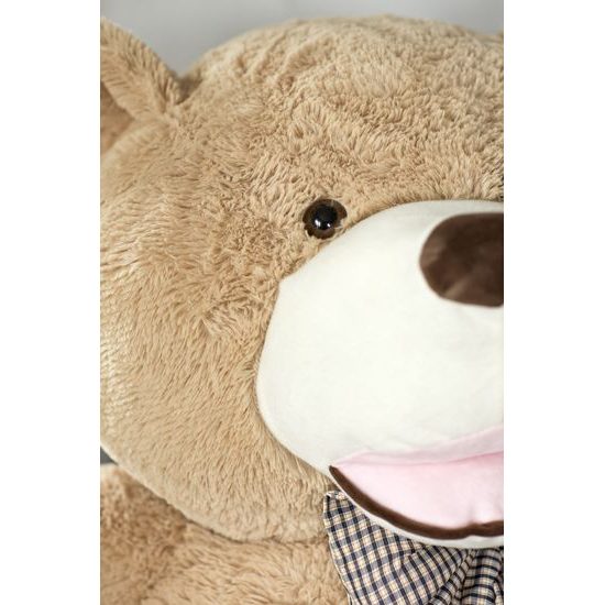 Plyšový medvěd Maty 190 cm XXL béžový