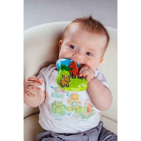 Pískací Polštářek - Moje první zvířátka - mix 6 druhů