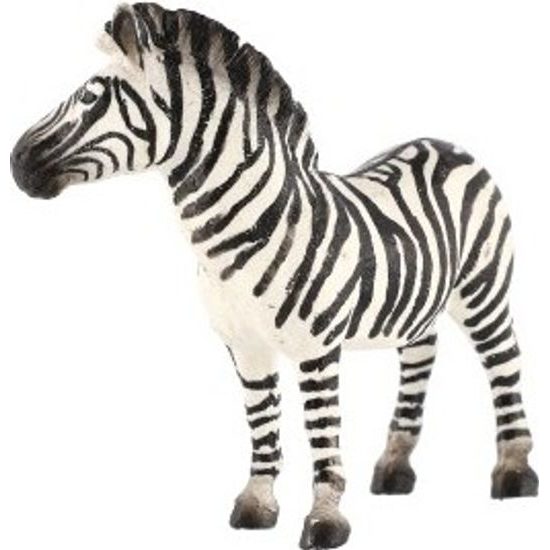 Zebra horská zooted