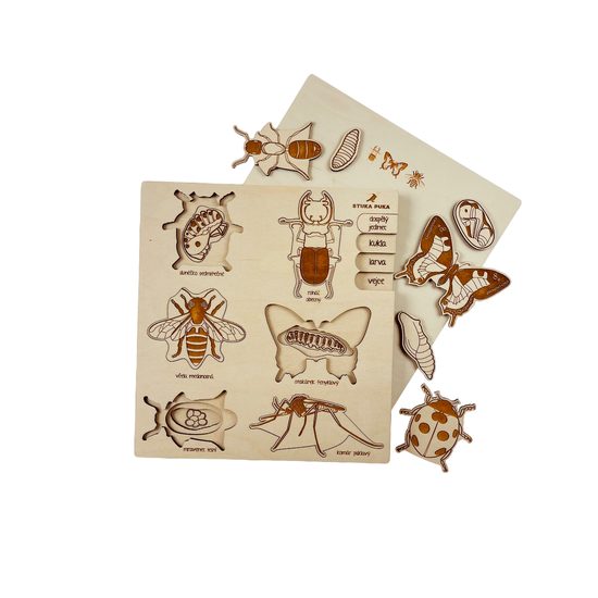 Hmyz - životní cyklus - set 6 - SLOVENSKÁ VERZE