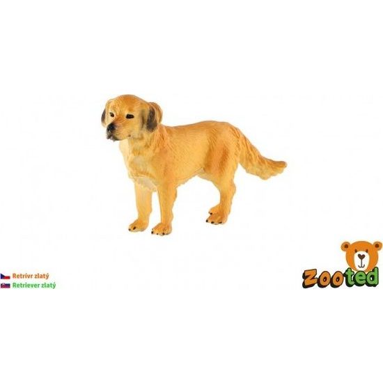 Retrívr zlatý - pes domácí zooted