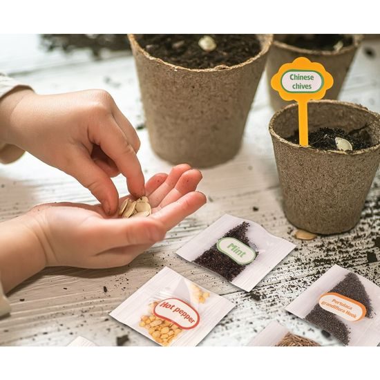 Sestava malý zahradník se skleníkem a osvětlením Sun Room