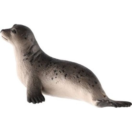 Tuleň obecný zooted