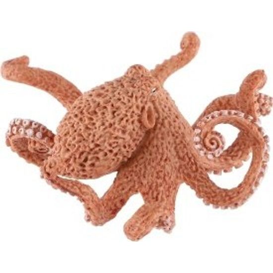 Chobotnice velká zooted