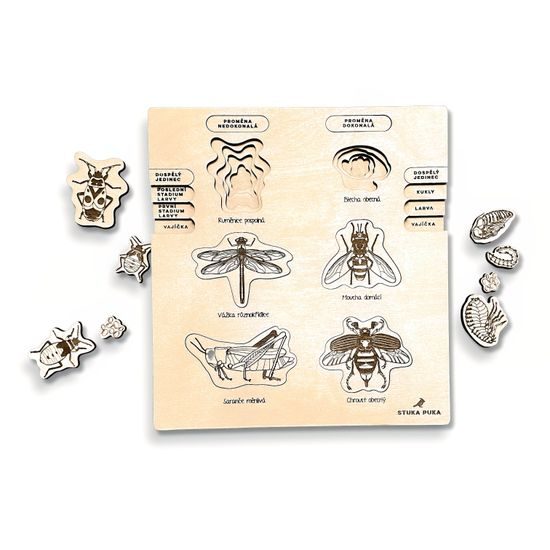 Premena dokonalá, nedokonalá - životné cykly- set - ČESKÁ VERZIA