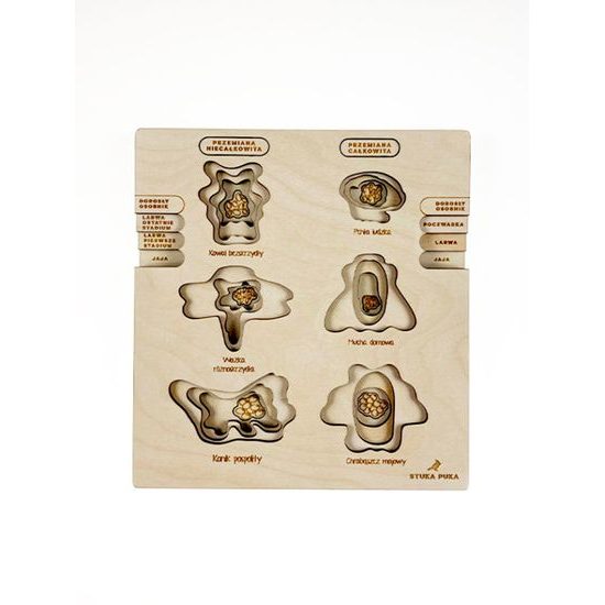 Proměna dokonalá, nedokonalá - životní cykly - set - SLOVENSKÁ VERZE