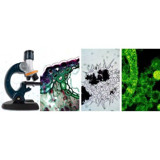 Dětský mikroskop na baterie s propojením na telefon Optic Microscope