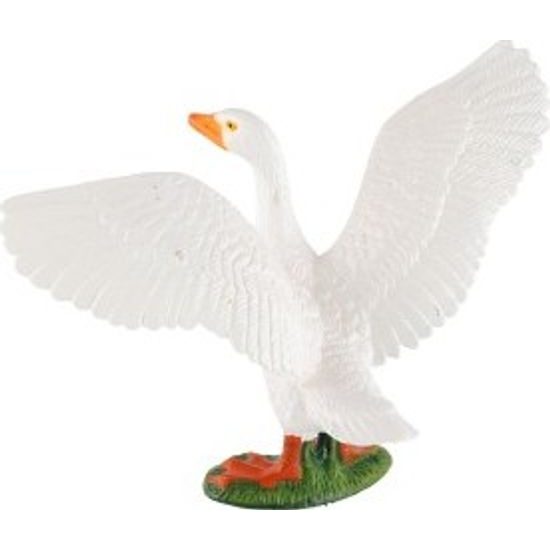 Husa domácí zooted