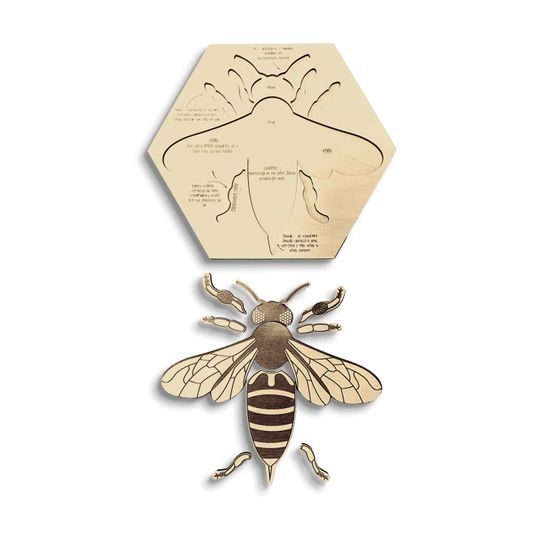 Včela edukativní puzzle - ČESKÁ VERZE