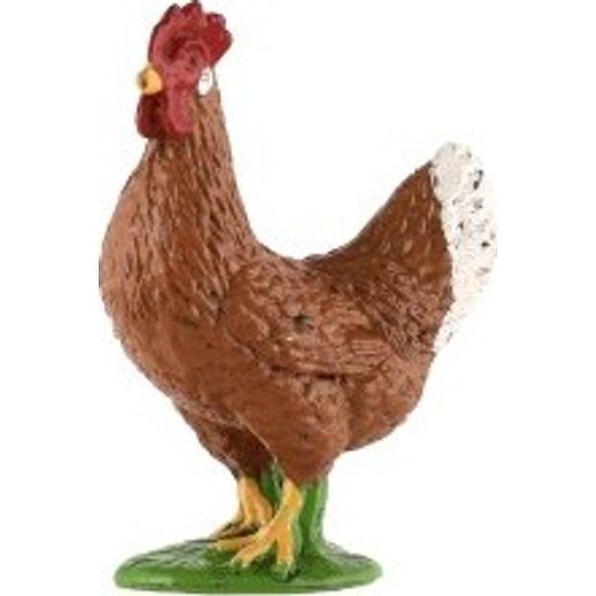 Slepice kura domácího zooted