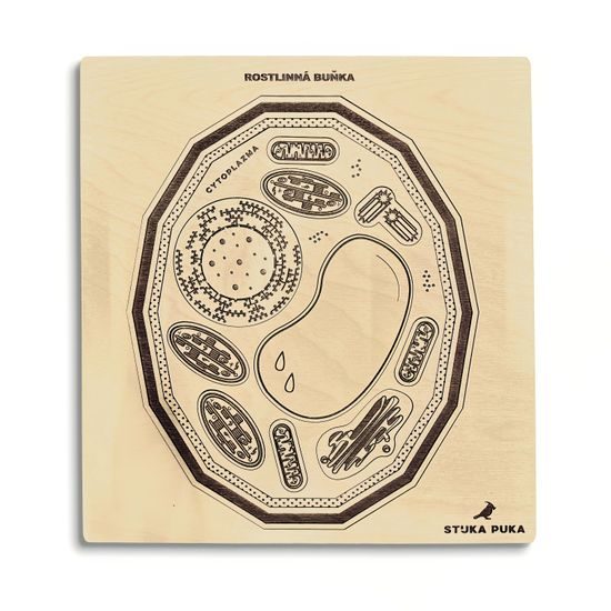 Rastlinná bunka - edukatívne puzzle - ČESKÁ VERZIA