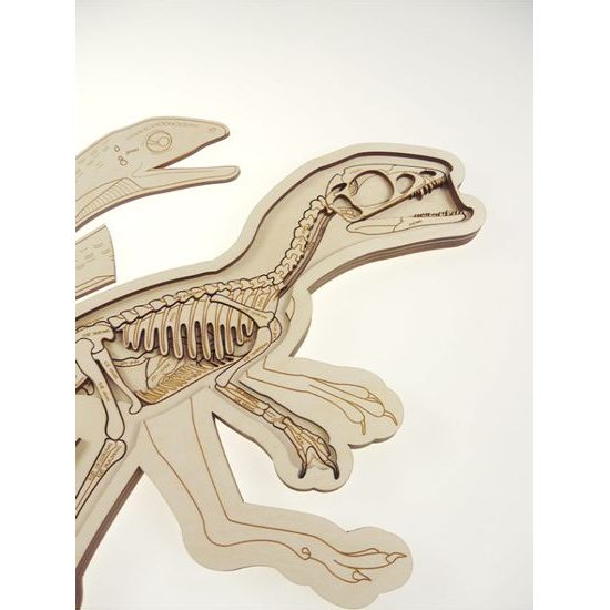 Dinosaurus - anatómia tela - edukatívne puzzle - ČESKÁ VERZIA