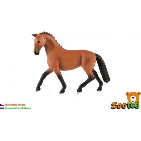Kůň domácí hnědák zooted