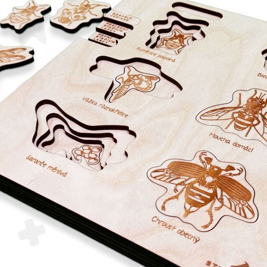 Premena dokonalá, nedokonalá - životné cykly- set - ČESKÁ VERZIA