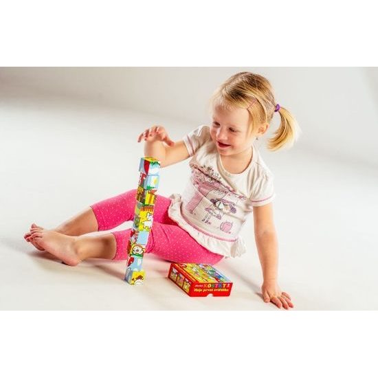 Dřevěné Kostky - Moje první zvířátka 9ks