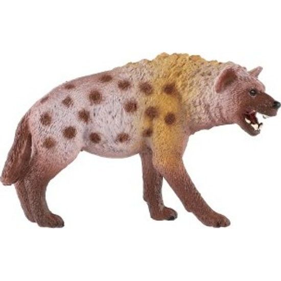 Hyena skvrnitá zooted