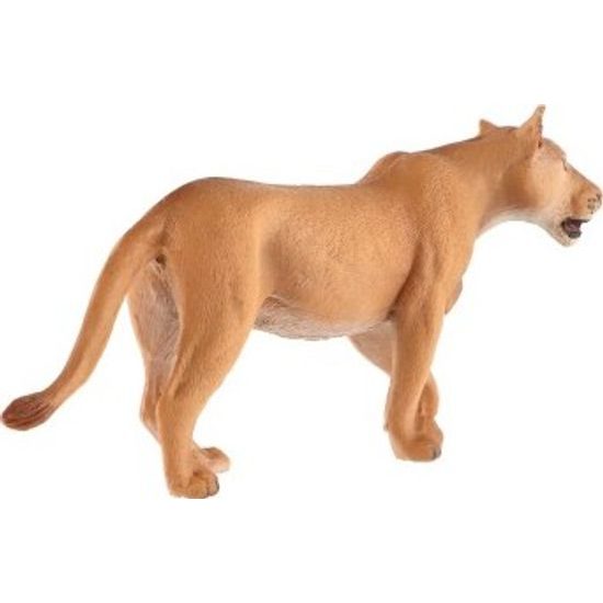 Lev berberský lvice zooted