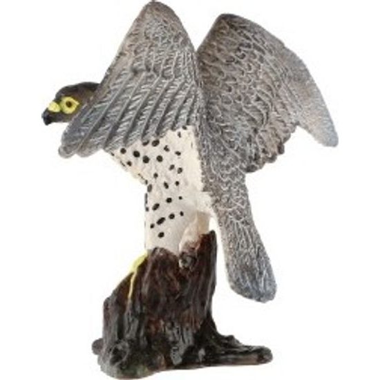 Sokol stěhovavý zooted