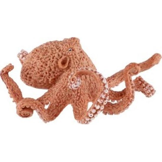 Chobotnice velká zooted