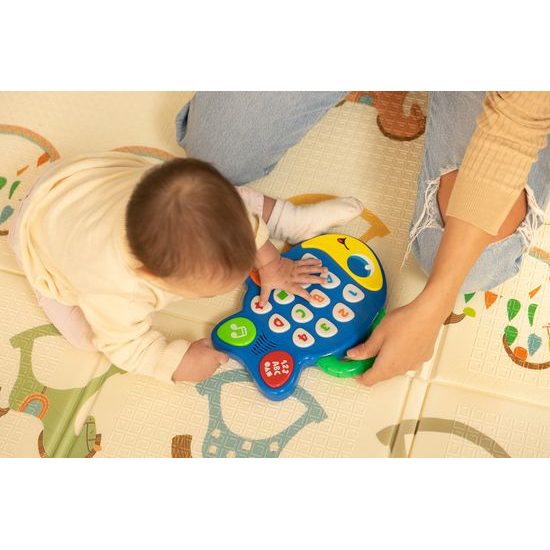 Vzdělávací hrací rybka