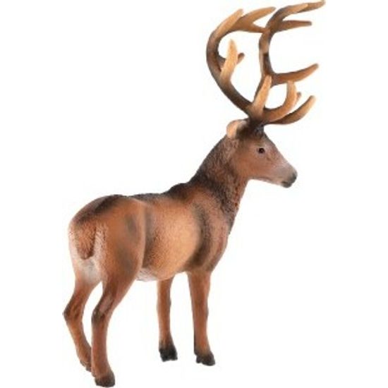 Jelen evropský zooted