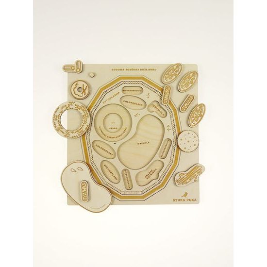 Rastlinná bunka - edukatívne puzzle - ČESKÁ VERZIA