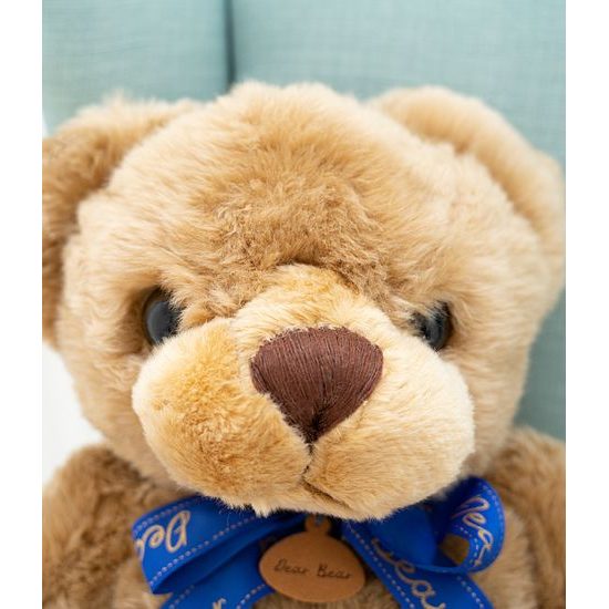 Plyšový medvěd Albert 160 cm hnědý