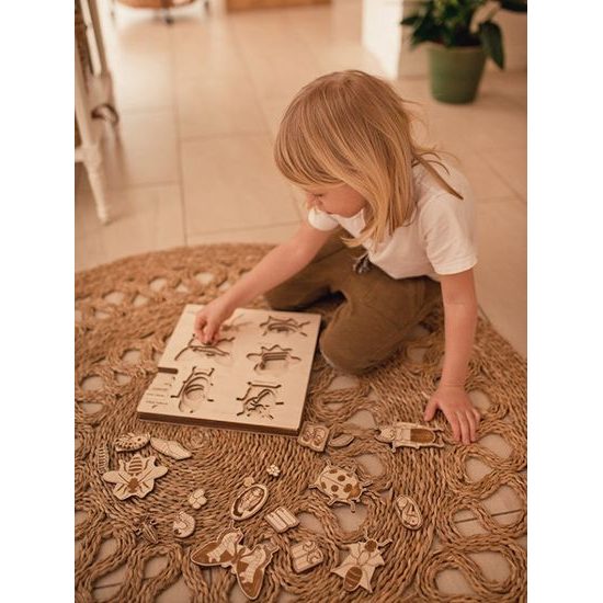 Hmyz - životní cyklus - set 6 - SLOVENSKÁ VERZE