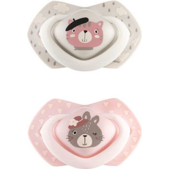 Canpol Babies Canpol Babies 2 ks symetrických silikonových dudlíků, 6-18m, Bonjour Paris, růžová/šedá