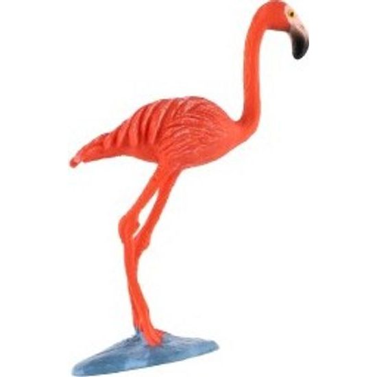 Plameňák karibský zooted