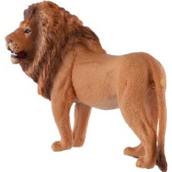 Lev berberský zooted