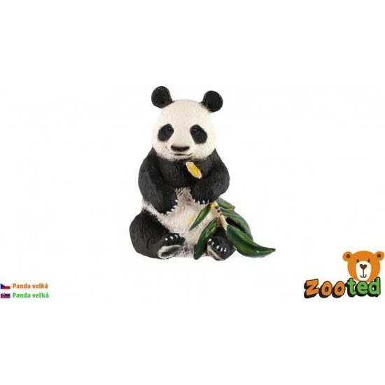 Panda velká zooted